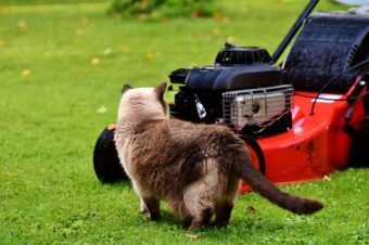 self propelled cordless lawn mowers