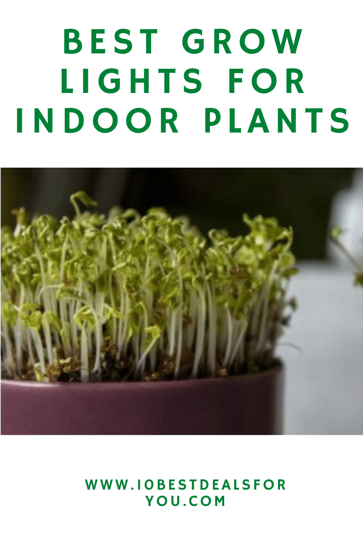 best grow lights for indoor plants